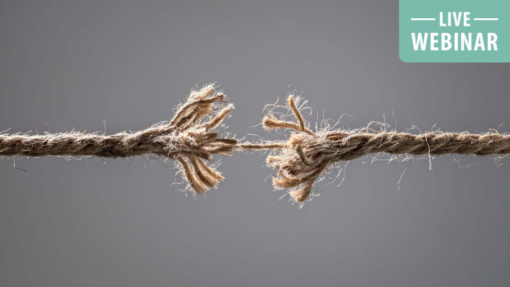 Resilient by Design: Supporting Meaning and Sustainability in Helping Professions					