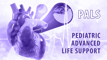 Pediatric Advanced Life Support (PALS) Provider Course 2025