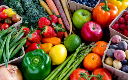 Program provides healthy, locally grown produce to families via partners such as MAHEC